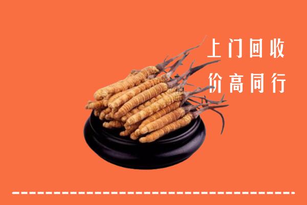 高价求购：霍城县回收散虫草