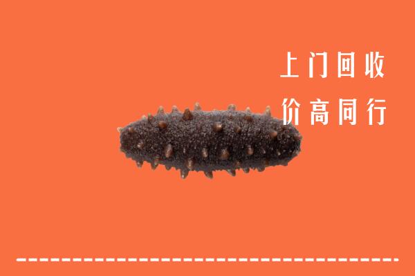 高价求购：霍城县回收海参