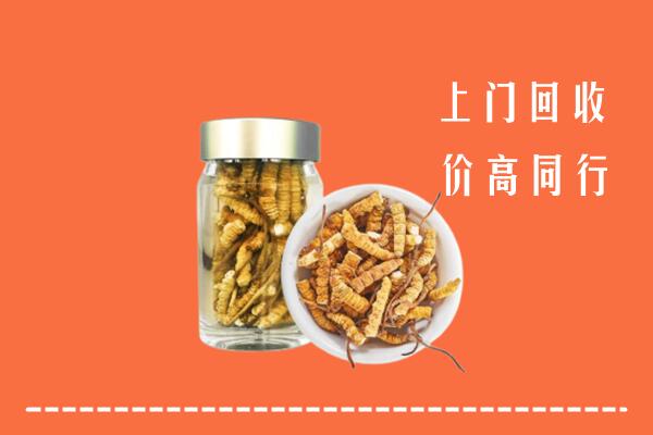 霍城县回收冬虫夏草