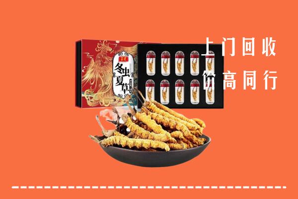 霍城县回收虫草